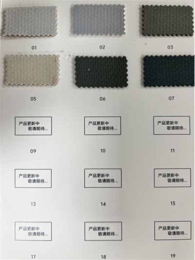 GZ-DZLP  F066  規格：170cm*400g/㎡  成分：98%Polyester  2%Spandex  遠紅外發熱  抗靜電  細節-1